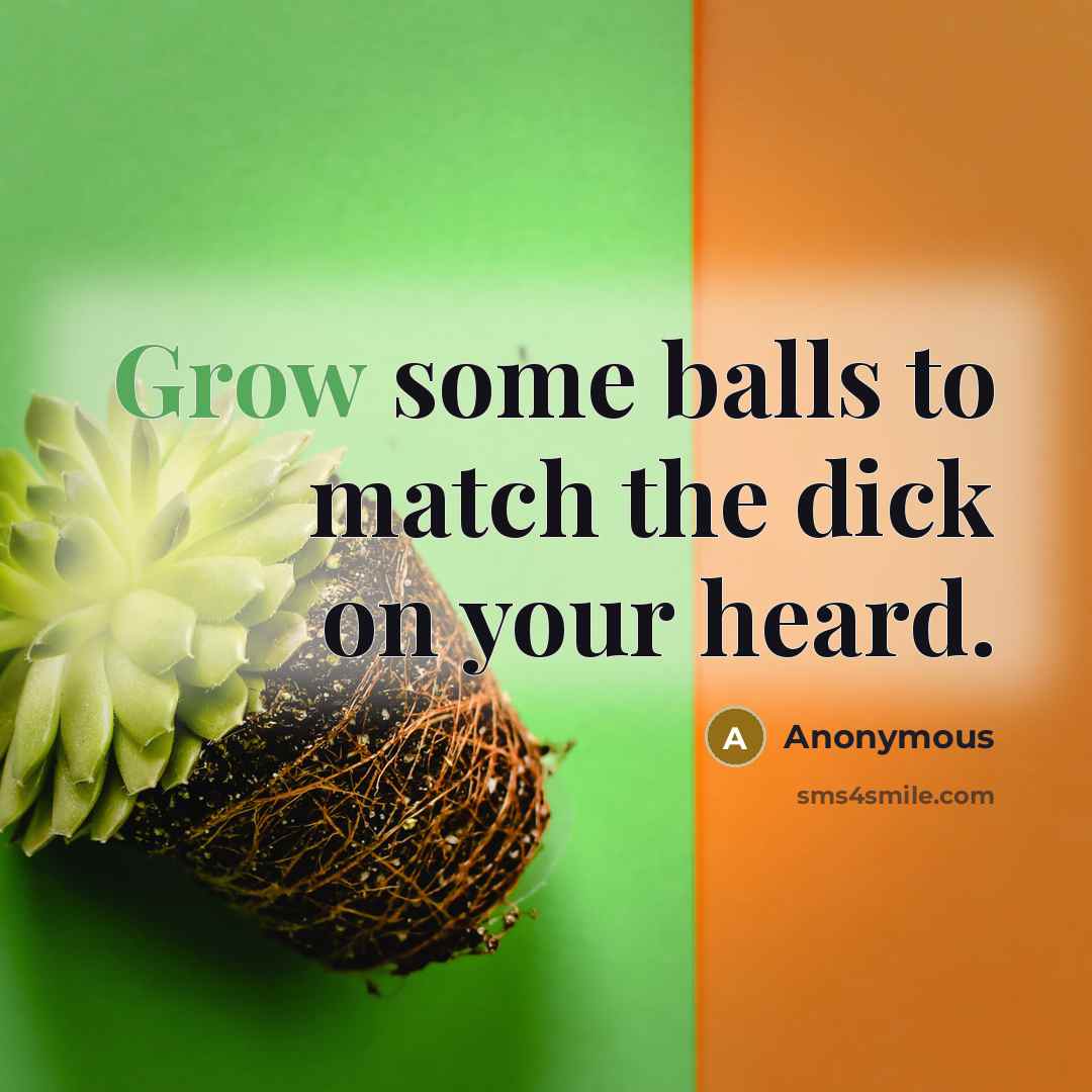 “Grow some balls to match the dick on your heard.…” quote by Anonymous