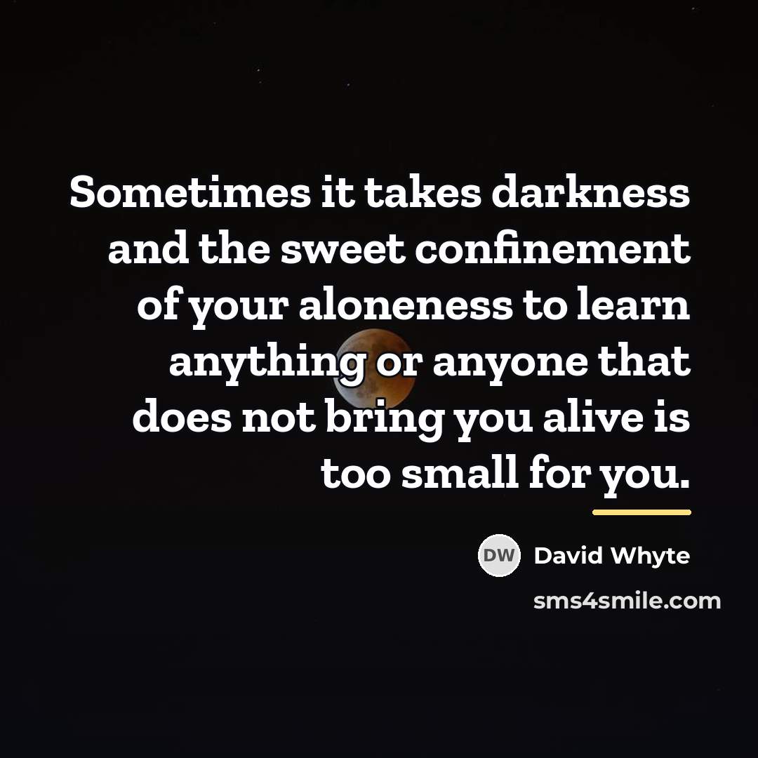 “Sometimes it takes darkness and the sweet confinement of your…” quote by David Whyte