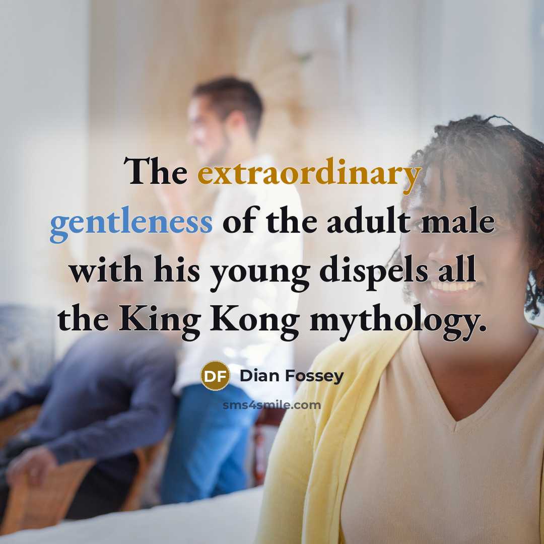 “The extraordinary gentleness of the adult male with his young…” quote by Dian Fossey