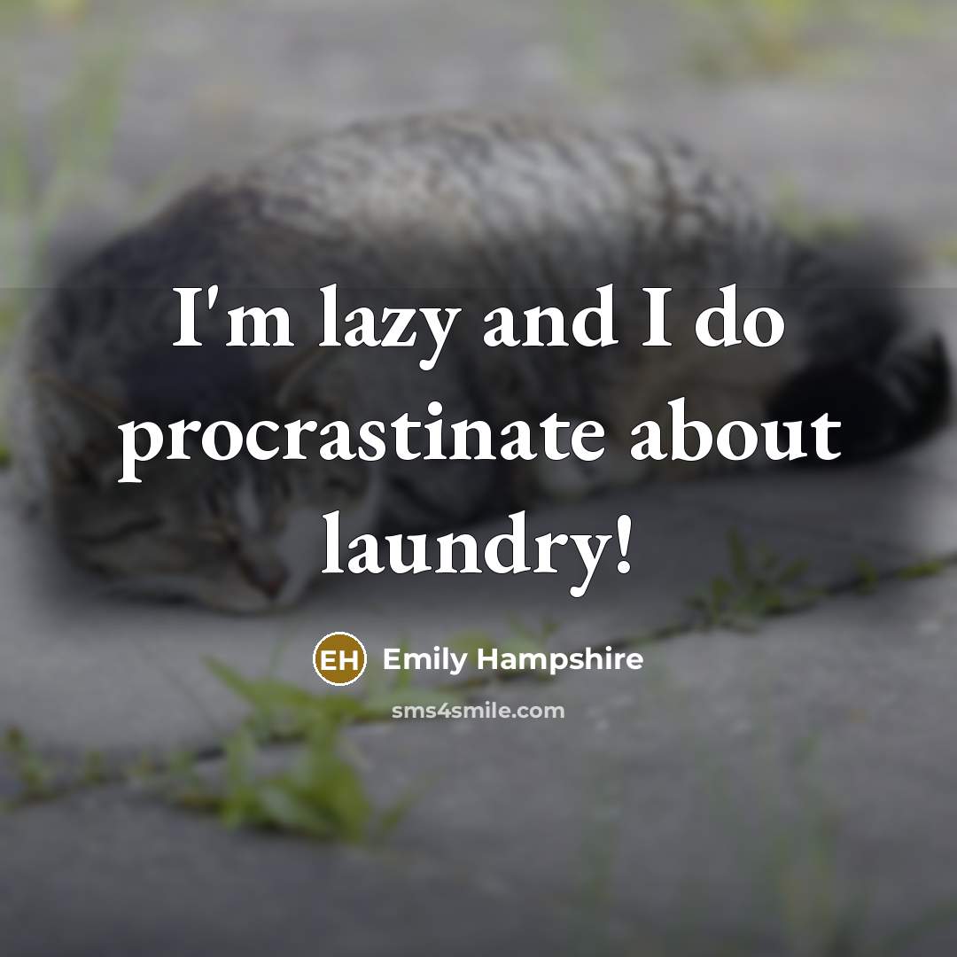 “I'm lazy and I do procrastinate about laundry!…” quote by Emily Hampshire
