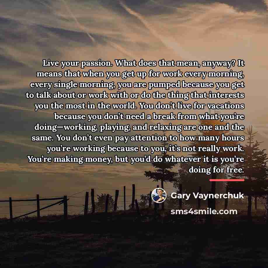 “Live your passion. What does that mean, anyway? It means…” quote by Gary Vaynerchuk