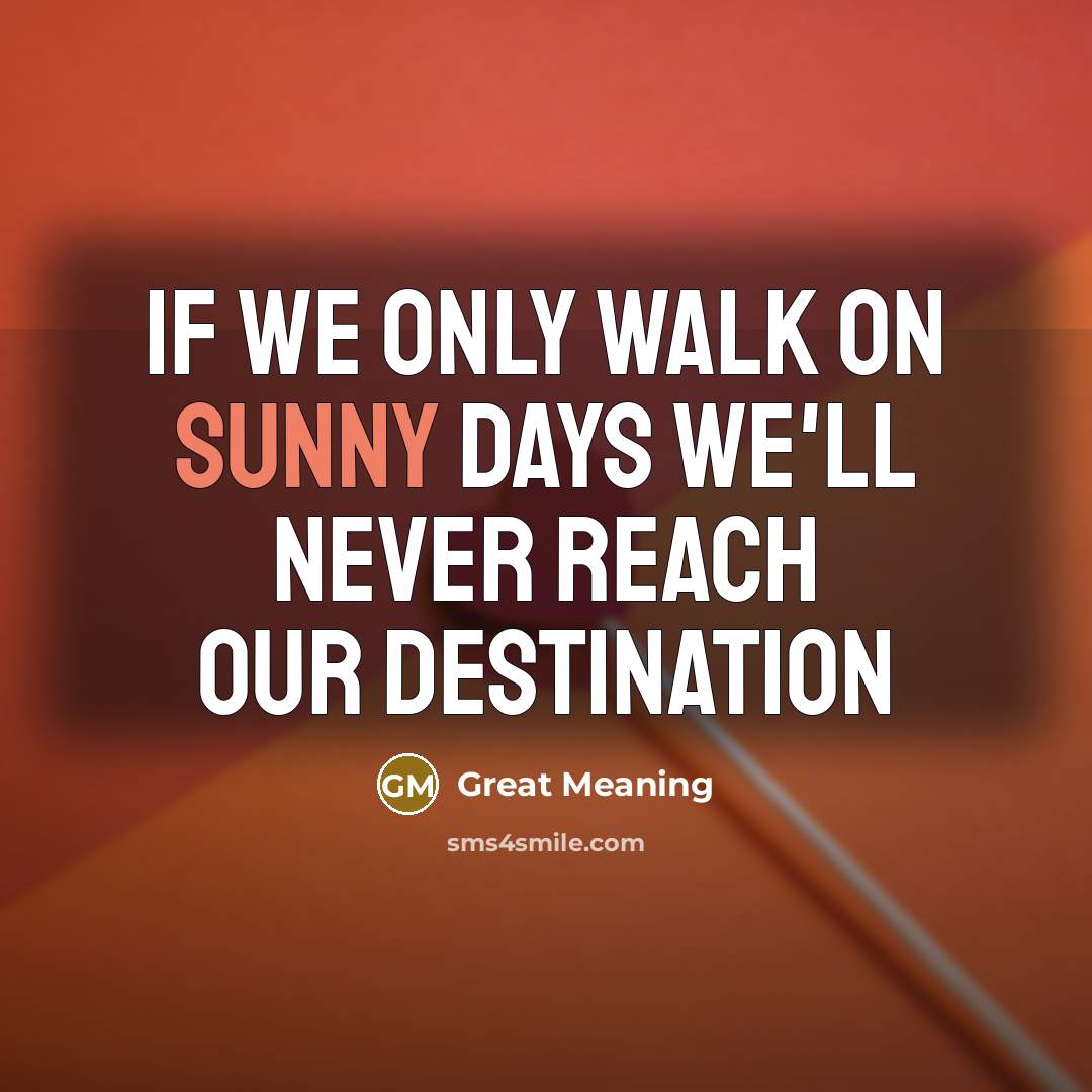 “If we only walk on sunny days we'll never reach our destination” quote by Great Meaning