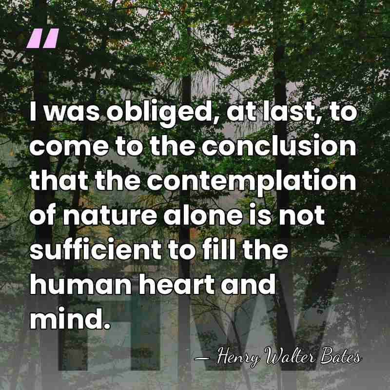 I was obliged, at last, to come to the conclusion that the&hellip; - Henry Walter Bates