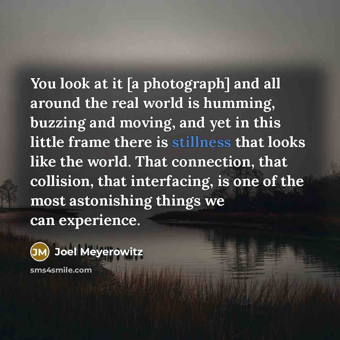 “You look at it [a photograph] and all around the…” quote by Joel Meyerowitz