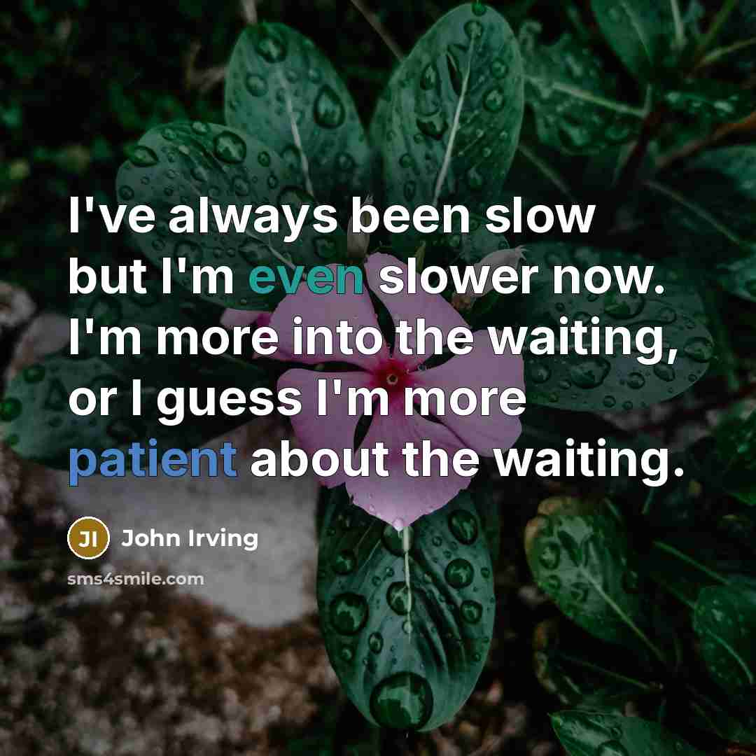 “I've always been slow but I'm even slower now. I'm more into the waiting, or I guess I'm more patient about the waiting.” quote by John Irving