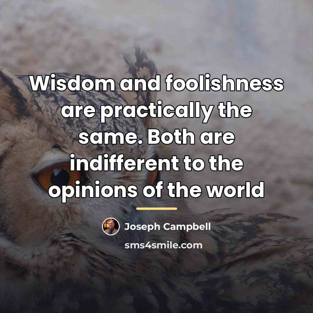 “Wisdom and foolishness are practically the same. Both are indifferent…” quote by Joseph Campbell