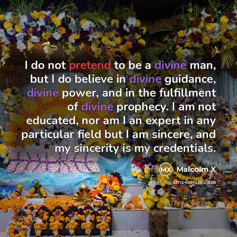“I do not pretend to be a divine man, but…” quote by Malcolm X