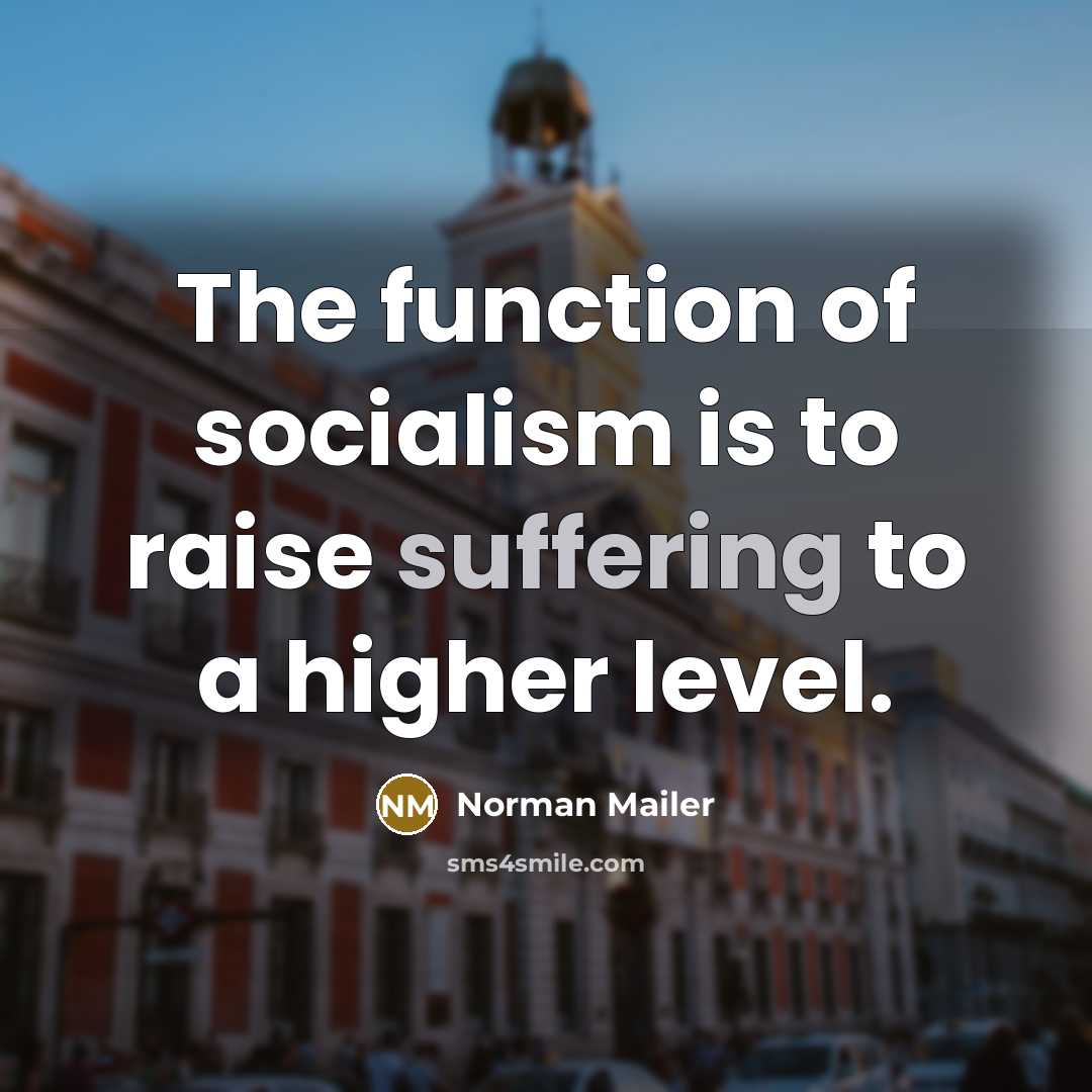 “The function of socialism is to raise suffering to a higher level.” quote by Norman Mailer
