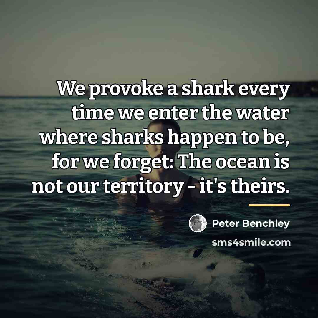 “We provoke a shark every time we enter the water…” quote by Peter Benchley