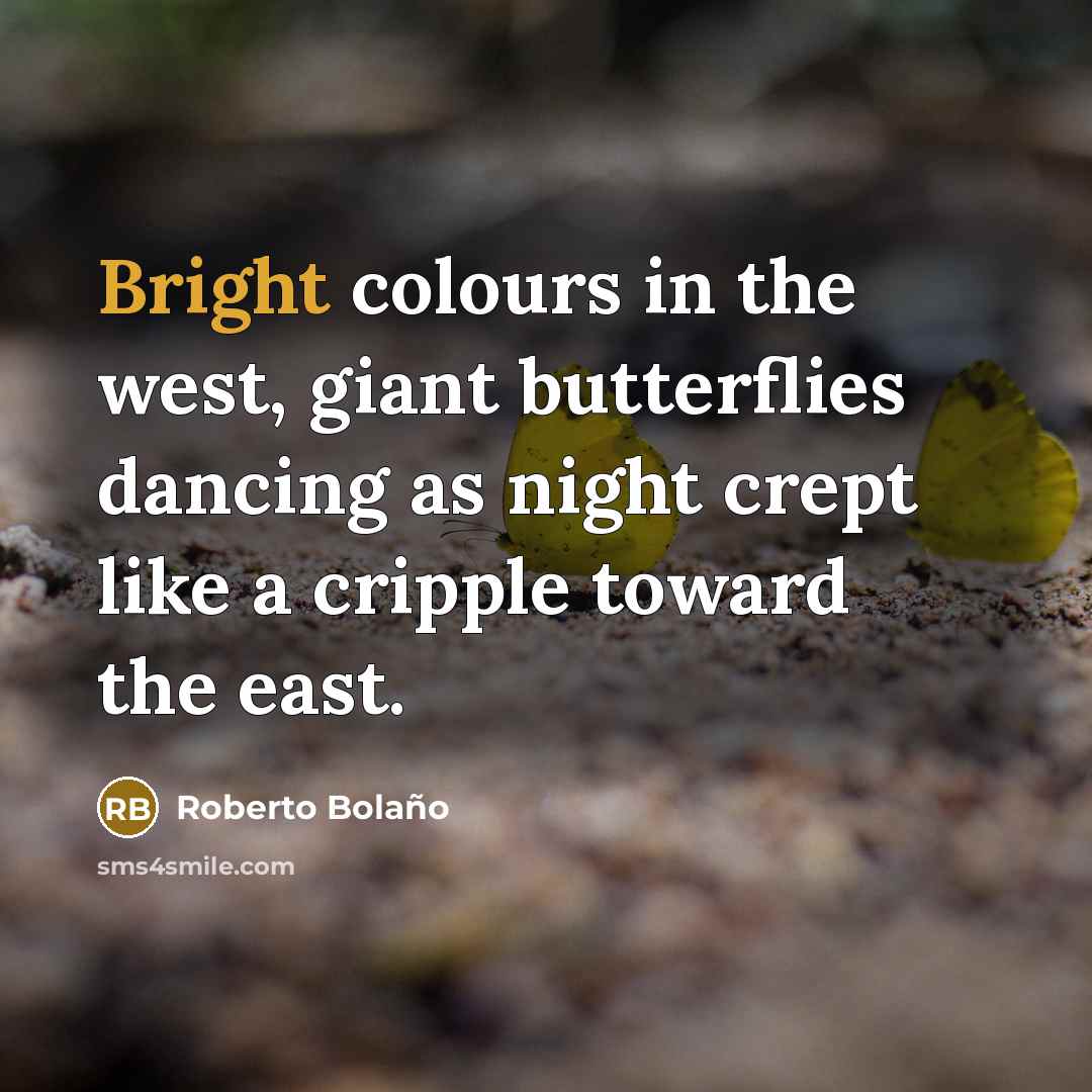 “Bright colours in the west, giant butterflies dancing as night crept like a cripple toward the east.” quote by Roberto Bolano