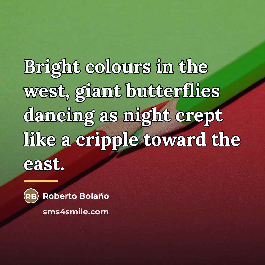 “Bright colours in the west, giant butterflies dancing as night…” quote by Roberto Bolano