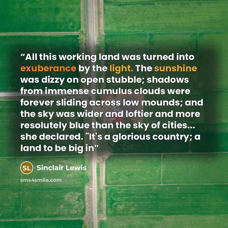 “All this working land was turned into exuberance by the light. The sunshine was dizzy on open stubble; shadows from immense cumulus clouds were forever sliding across low mounds; and the sky was wider and loftier and more resolutely blue than the sky of cities... she declared. "It's a glorious…” quote by Sinclair Lewis