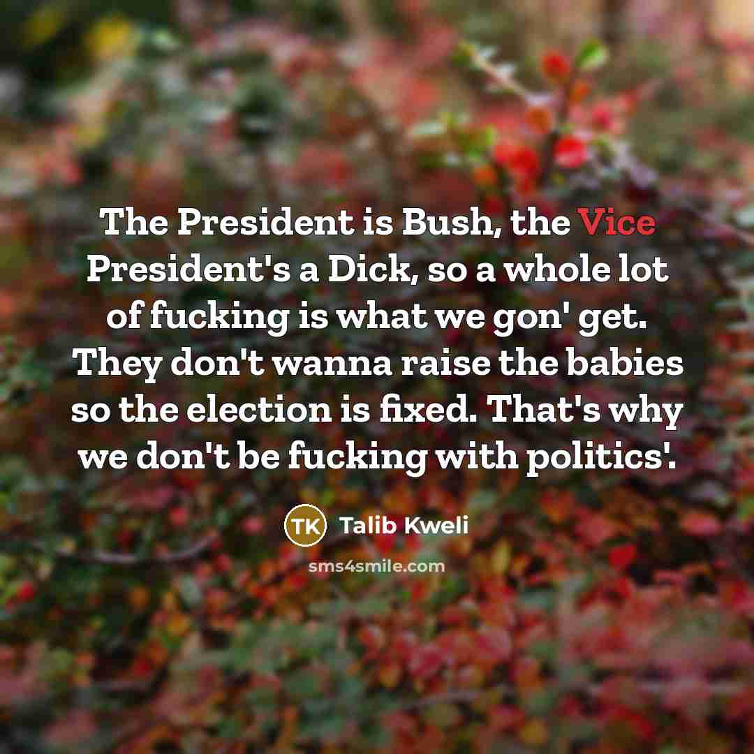 “The President is Bush, the Vice President's a Dick, so…” quote by Talib Kweli