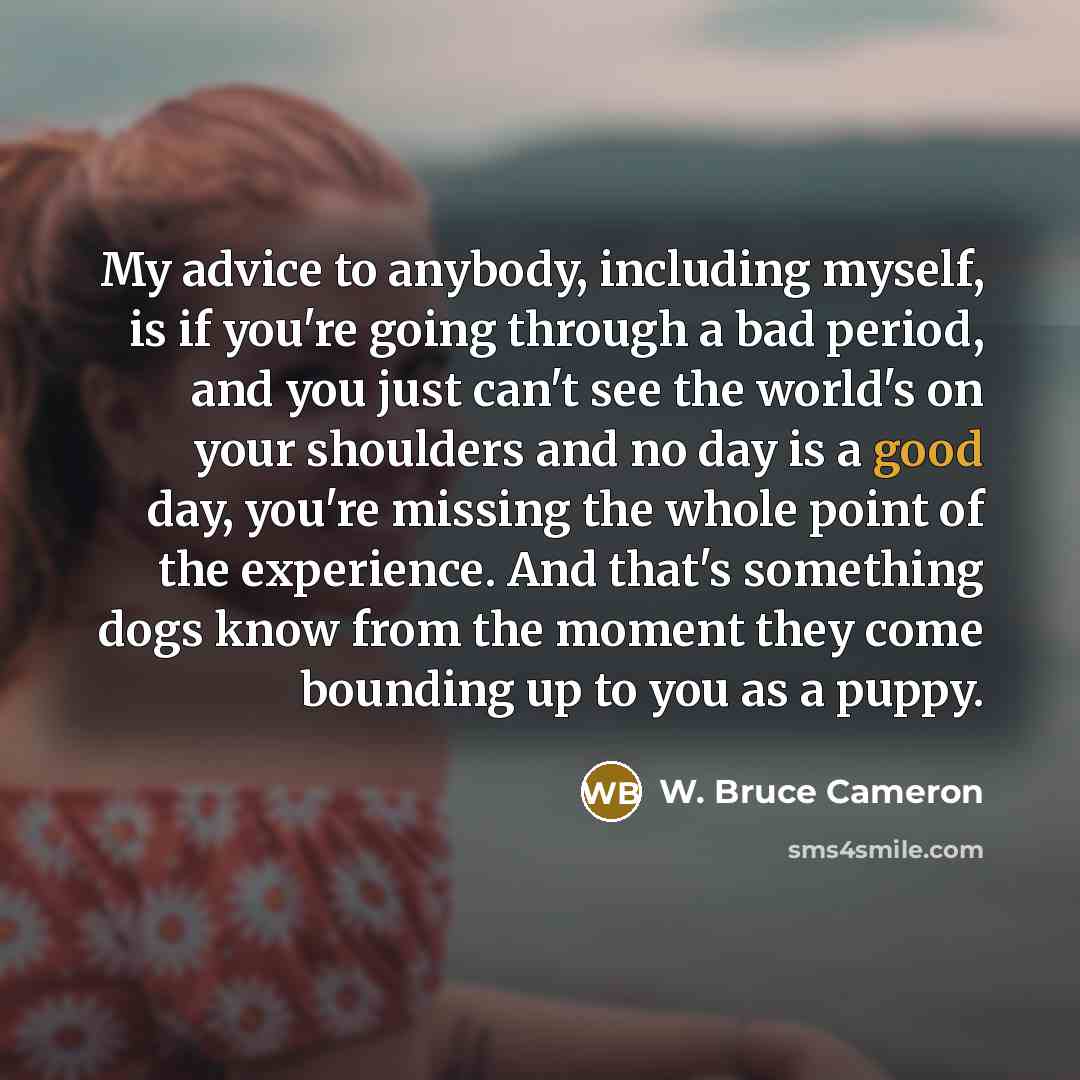 “My advice to anybody, including myself, is if you're going…” quote by W. Bruce Cameron