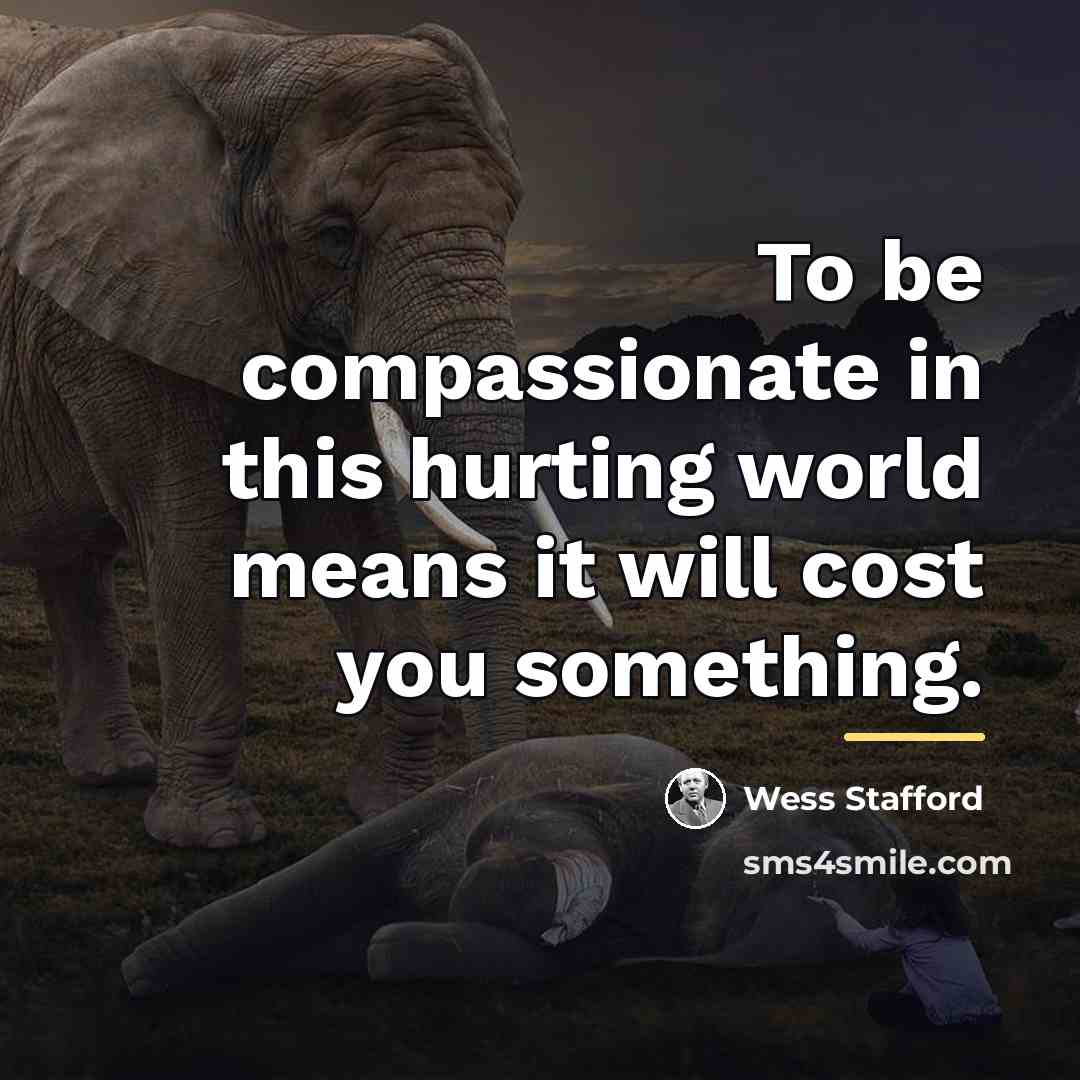 “To be compassionate in this hurting world means it will…” quote by Wess Stafford