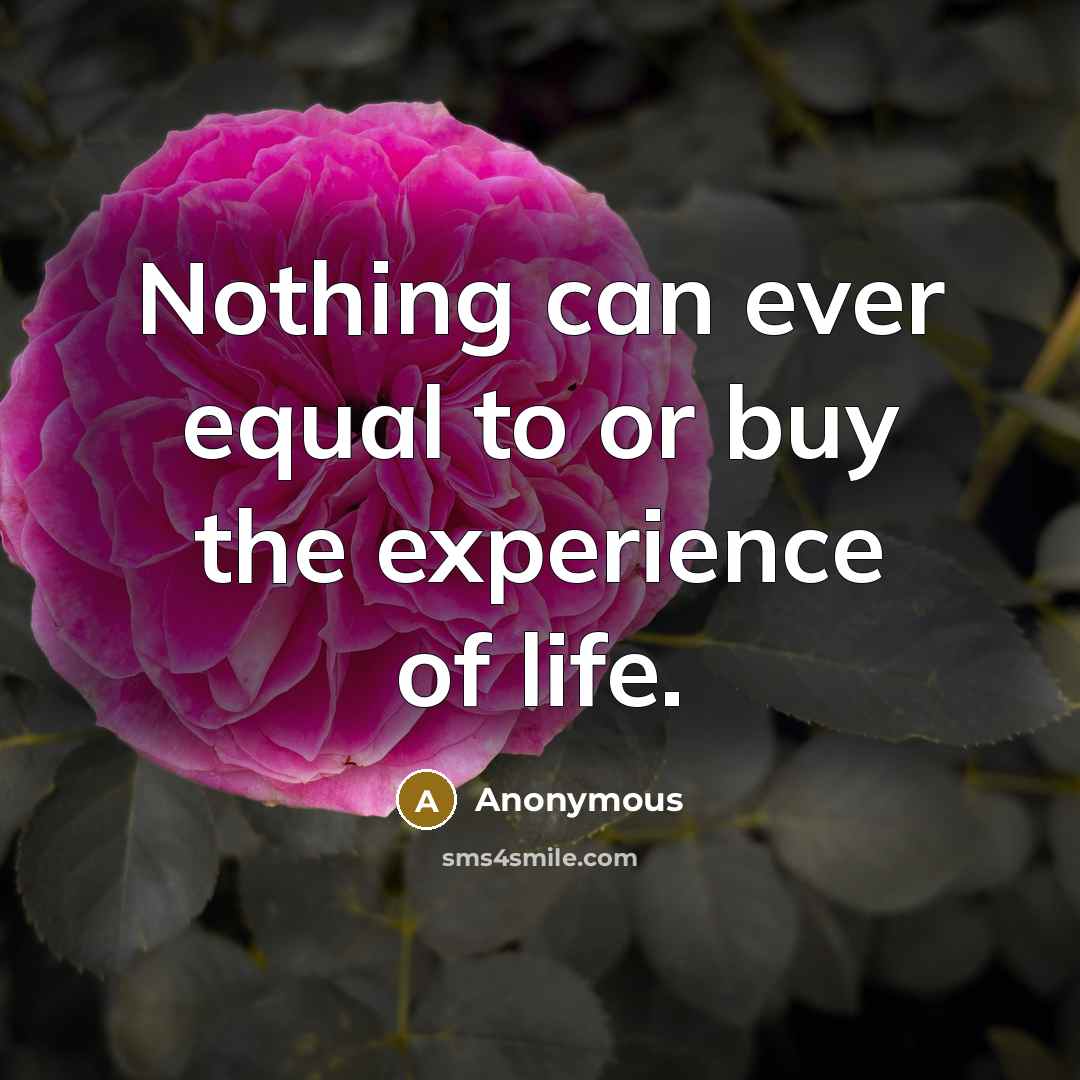 “Nothing can ever equal to or buy the experience of…” quote by Anonymous