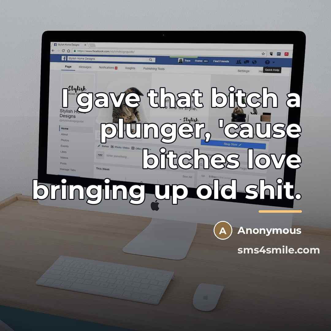 “I gave that bitch a plunger, 'cause bitches love bringing…” quote by Anonymous