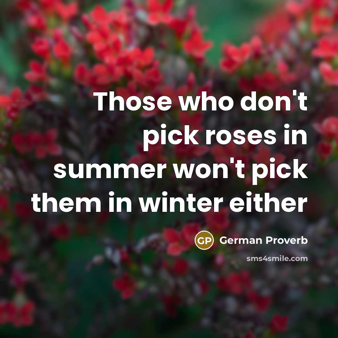 “Those who don't pick roses in summer won't pick them…” quote by German Proverb
