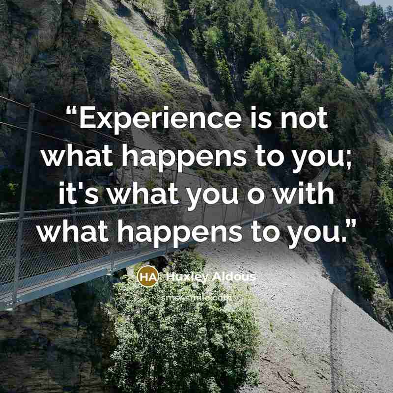 “Experience is not what happens to you; it's what you o with what happens to you.” quote by Huxley Aldous