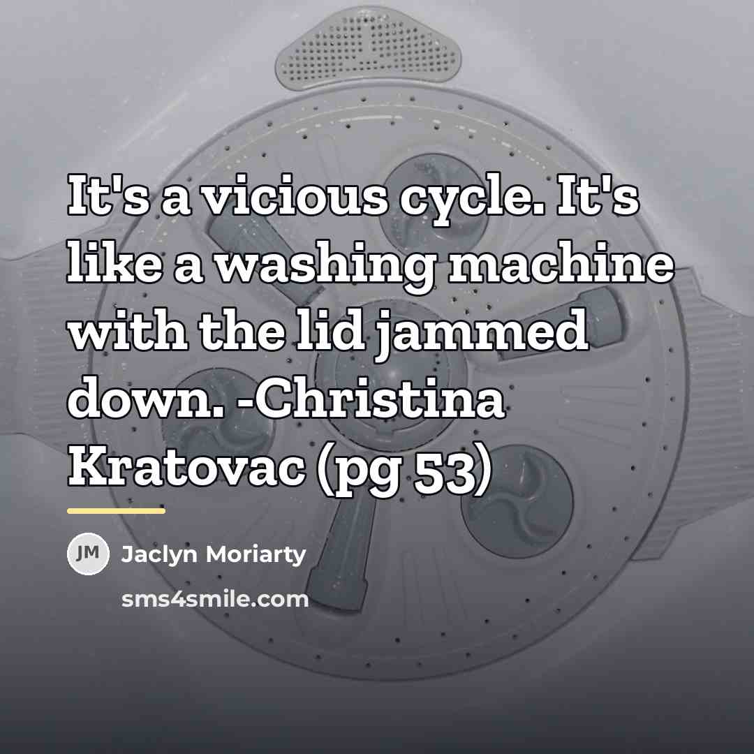 “It's a vicious cycle. It's like a washing machine with…” quote by Jaclyn Moriarty