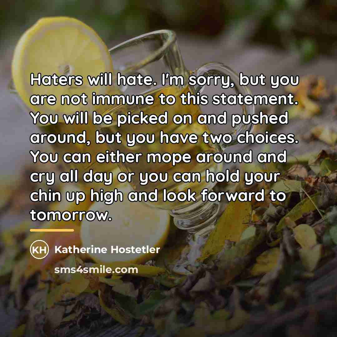 “Haters will hate. I'm sorry, but you are not immune…” quote by Katherine Hostetler