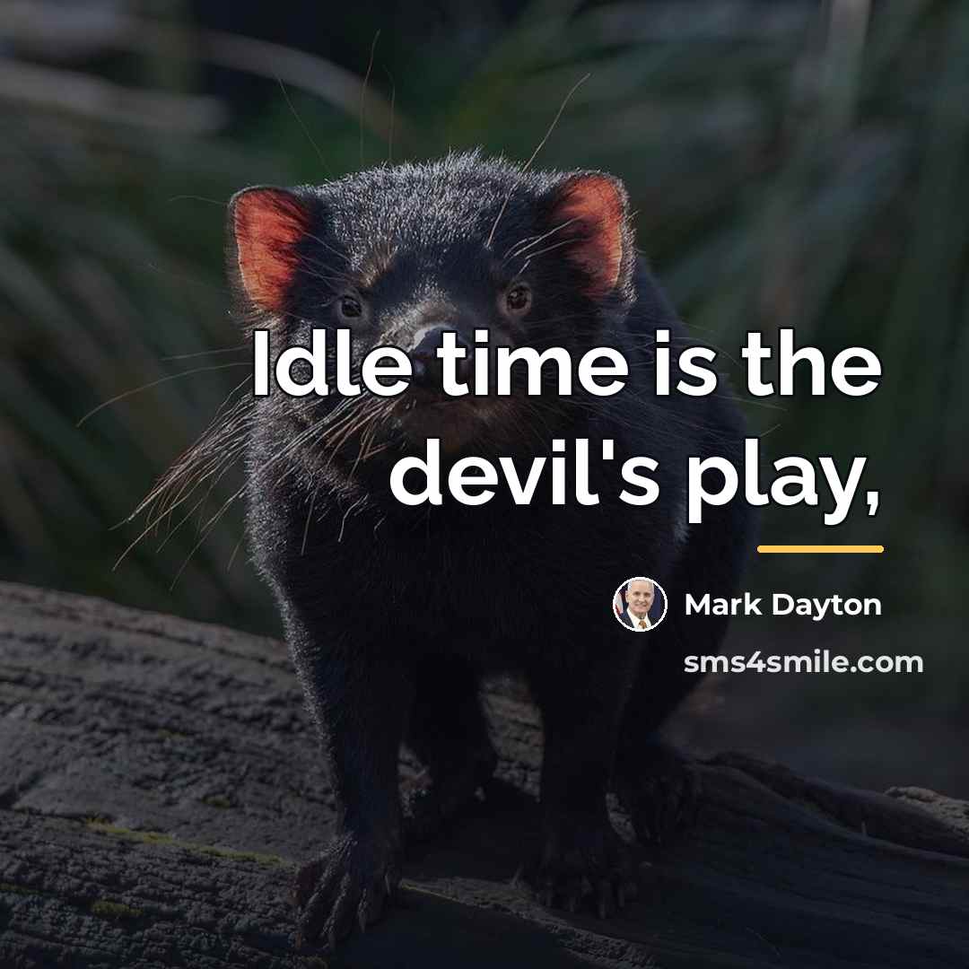 “Idle time is the devil's play,…” quote by Mark Dayton