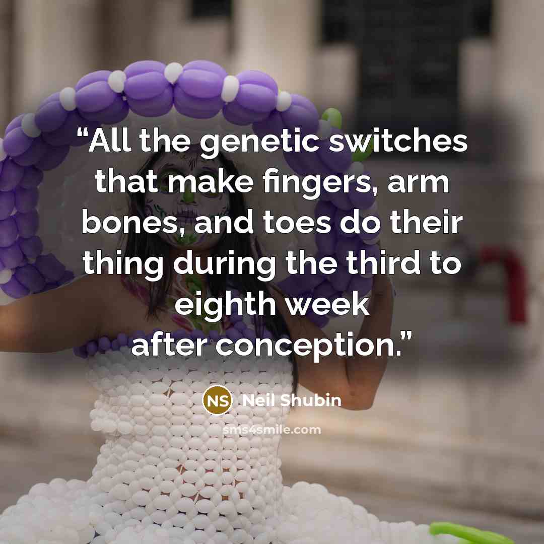 “All the genetic switches that make fingers, arm bones, and toes do their thing during the third to eighth week after conception.” quote by Neil Shubin