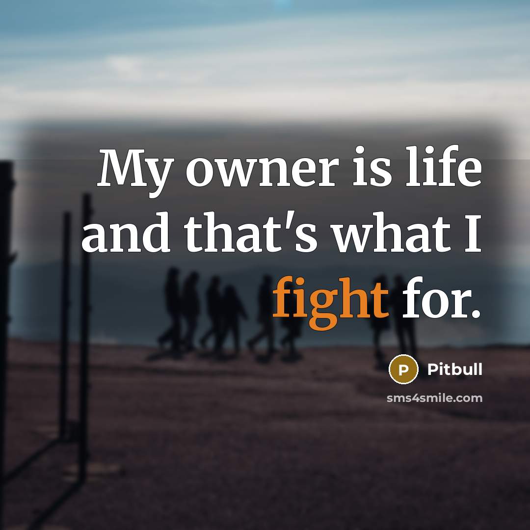 “My owner is life and that's what I fight for.” quote by Pitbull