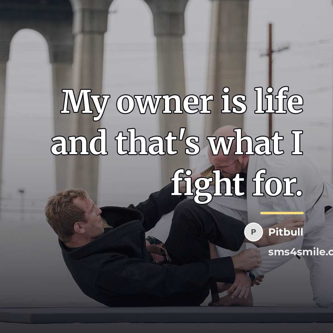 “My owner is life and that's what I fight for.…” quote by Pitbull