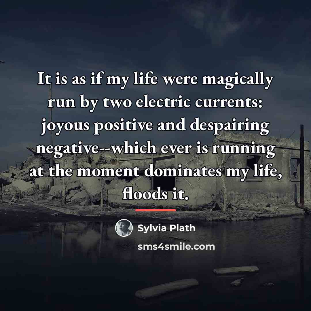 “It is as if my life were magically run by…” quote by Sylvia Plath