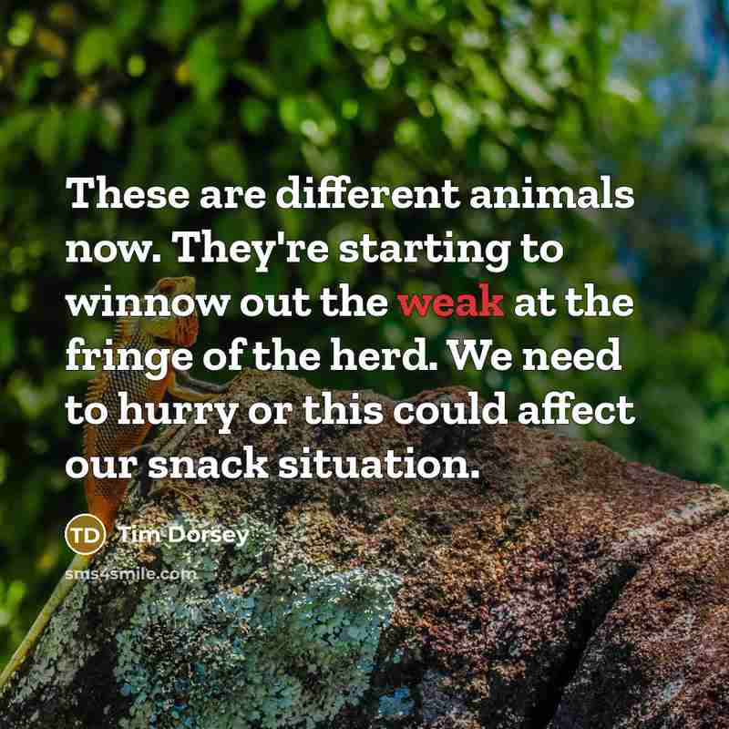 “These are different animals now. They're starting to winnow out…” quote by Tim Dorsey