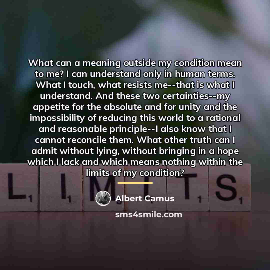 “What can a meaning outside my condition mean to me?…” quote by Albert Camus