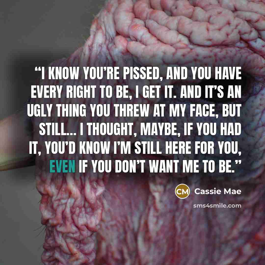 “I know you’re pissed, and you have every right to be, I get it. And it’s an ugly thing you threw at my face, but still… I thought, maybe, if you had it, you’d know I’m still here for you, even if you don’t want me to be.” quote by Cassie Mae