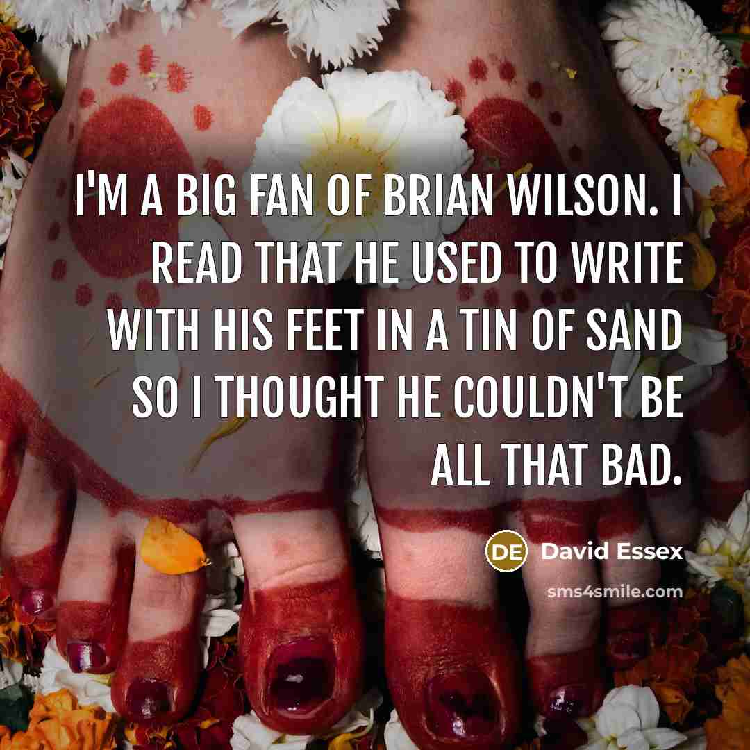 “I'm a big fan of Brian Wilson. I read that…” quote by David Essex