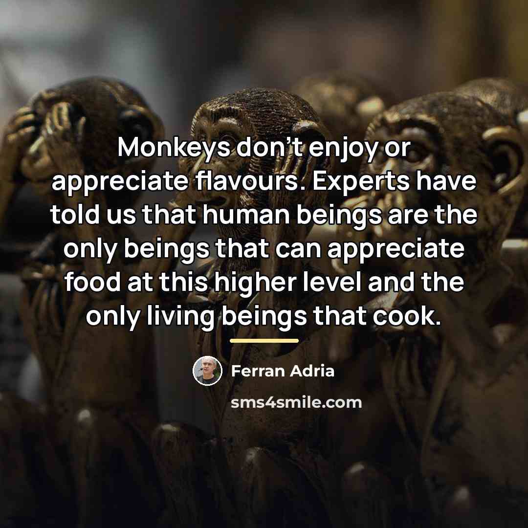 “Monkeys don't enjoy or appreciate flavours. Experts have told us…” quote by Ferran Adria