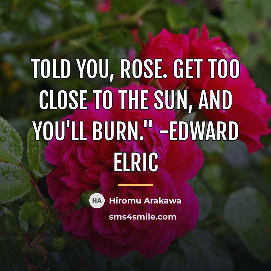 “Told you, Rose. Get too close to the sun, and…” quote by Hiromu Arakawa