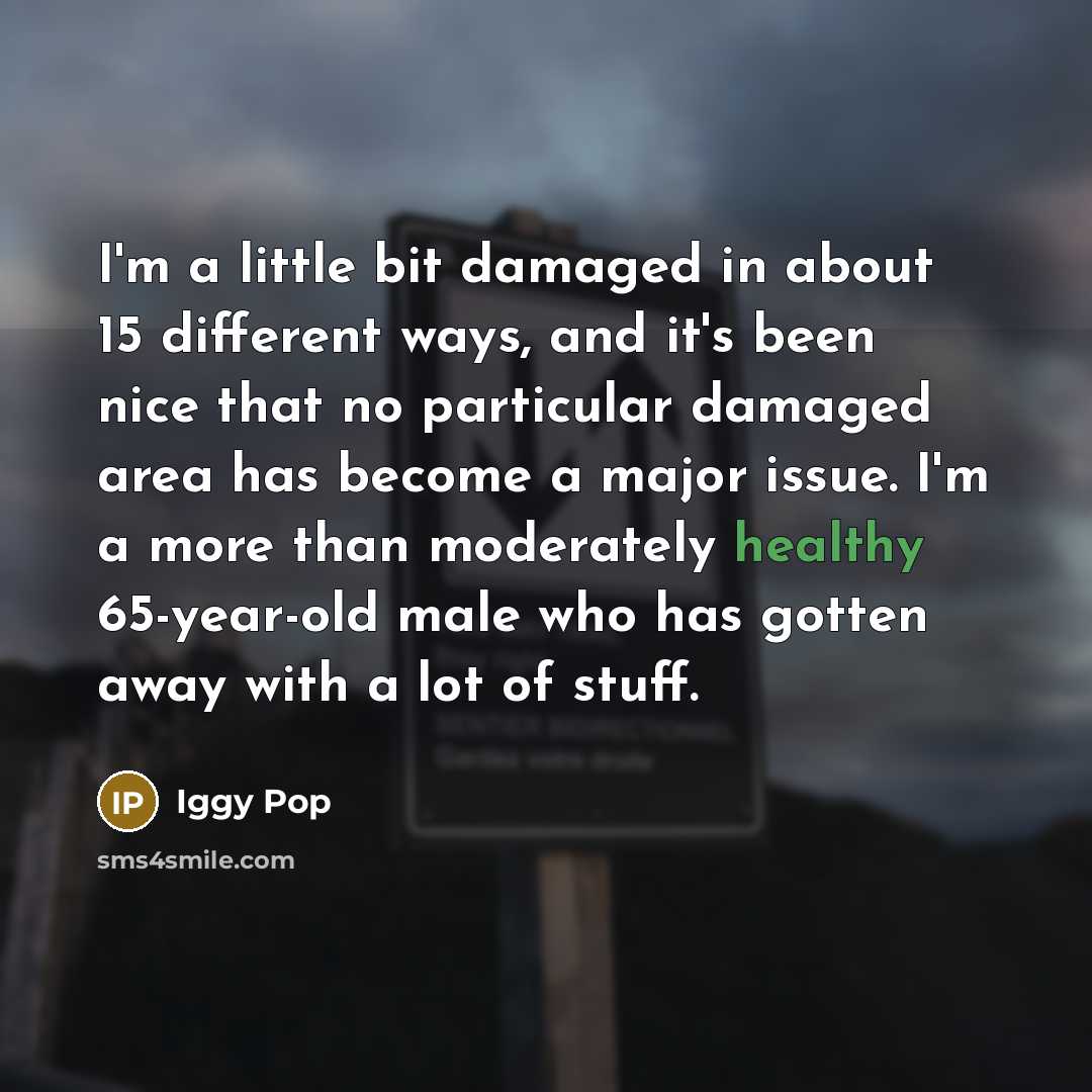 “I'm a little bit damaged in about 15 different ways,…” quote by Iggy Pop