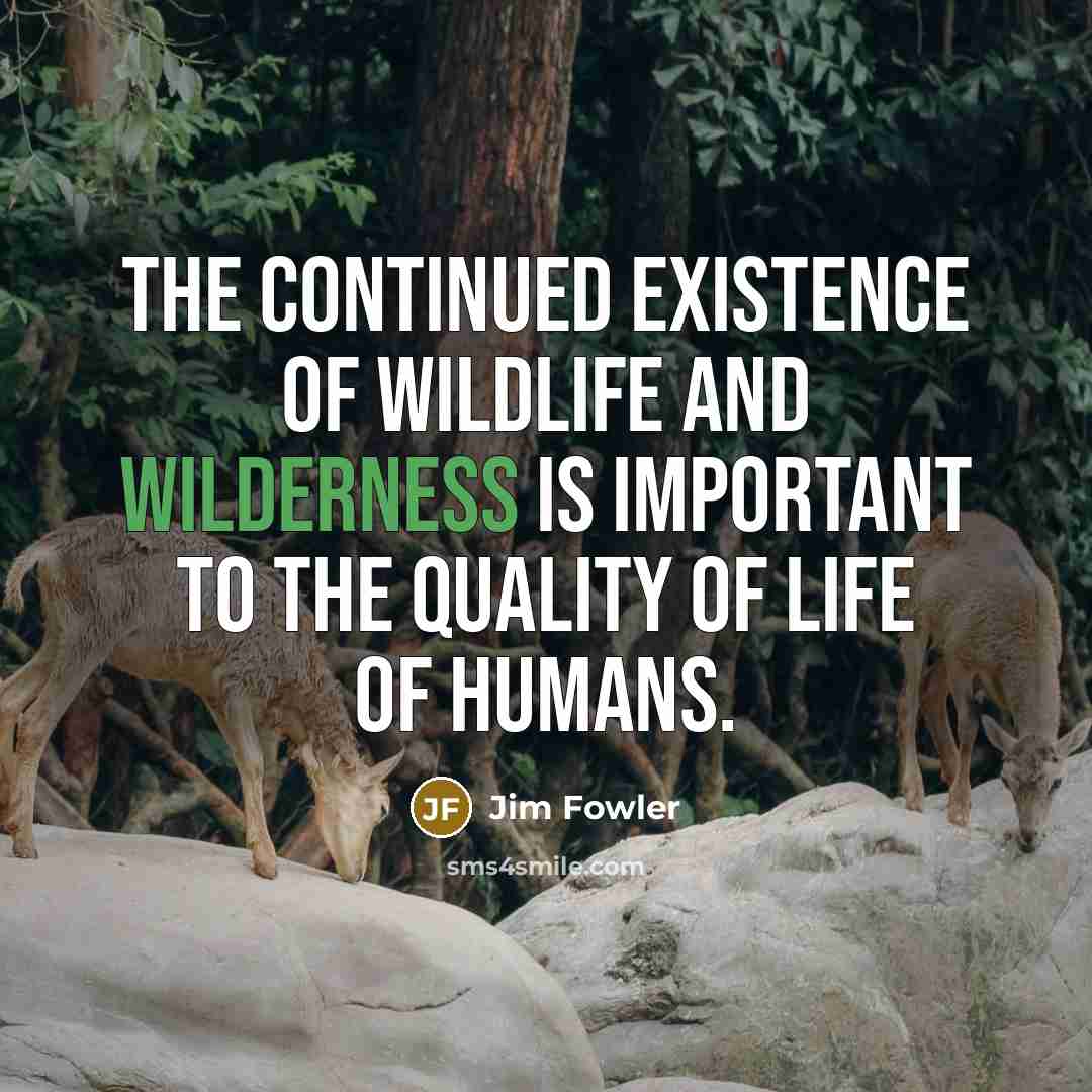 “The continued existence of wildlife and wilderness is important to…” quote by Jim Fowler