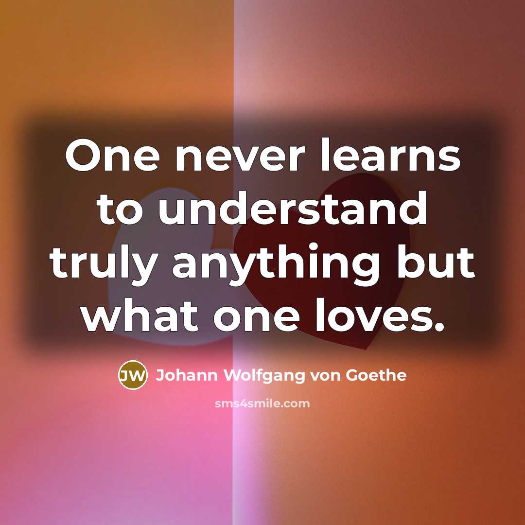“One never learns to understand truly anything but what one…” quote by Johann Wolfgang von Goethe