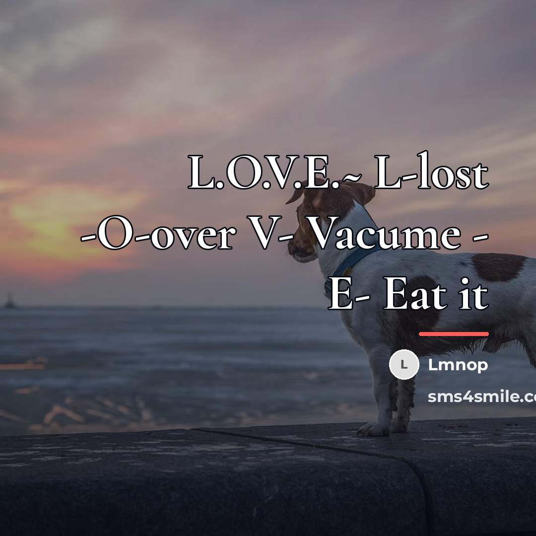 “L.O.V.E.~ L-lost -O-over V- Vacume - E- Eat it…” quote by Lmnop