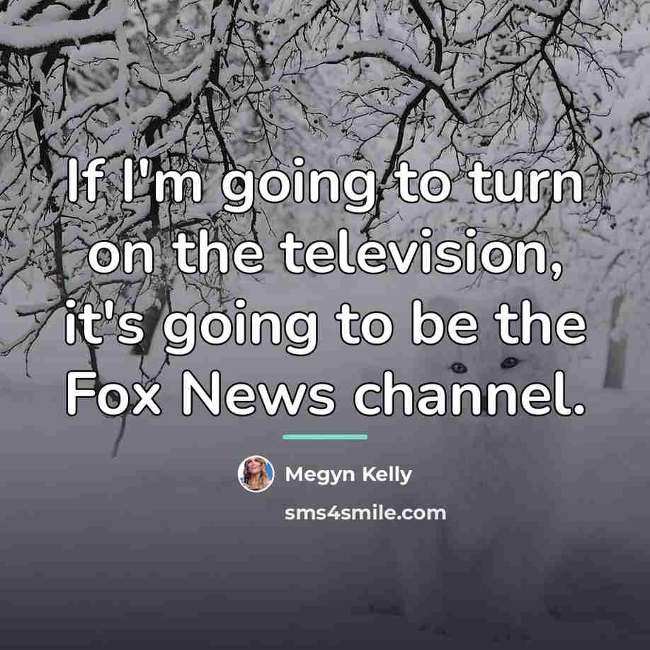 “If I'm going to turn on the television, it's going…” quote by Megyn Kelly