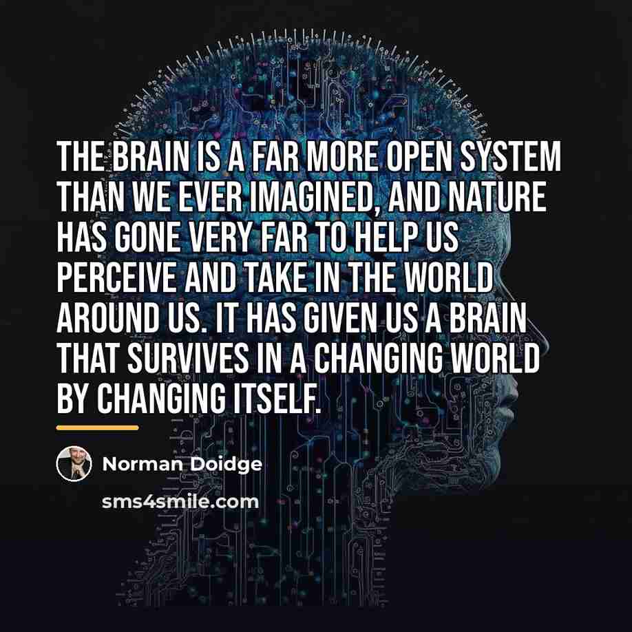 “The brain is a far more open system than we…” quote by Norman Doidge