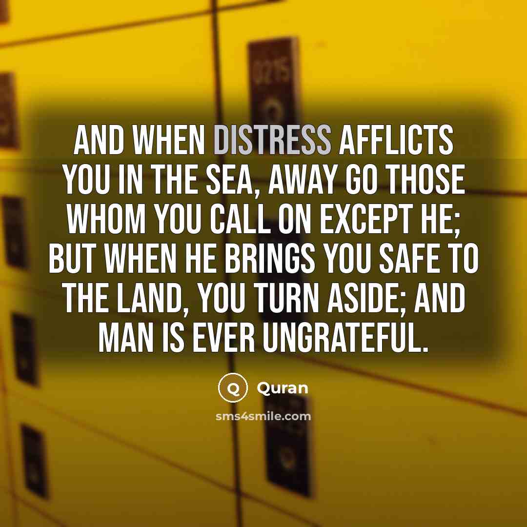 “And when distress afflicts you in the sea, away go…” quote by Quran