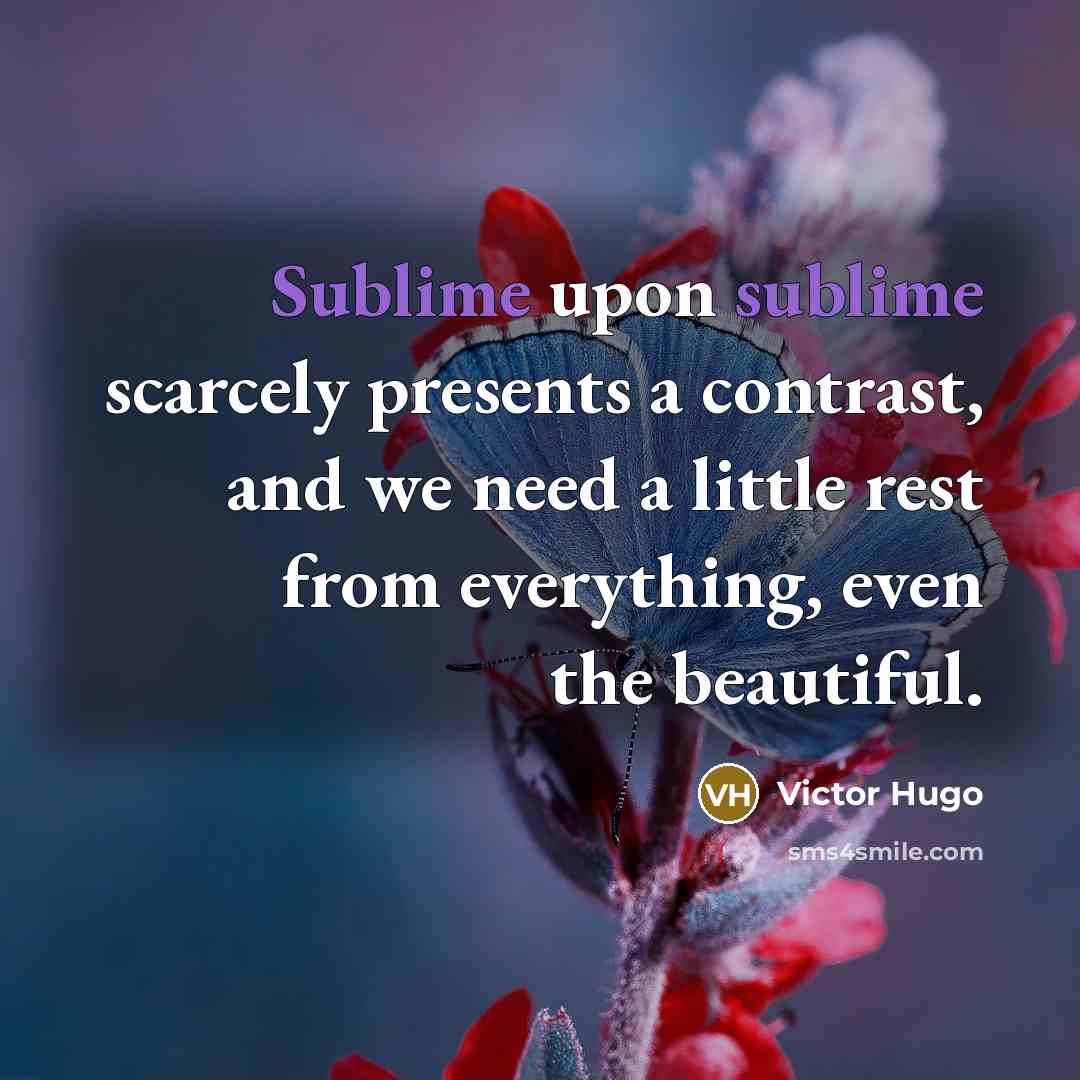 “Sublime upon sublime scarcely presents a contrast, and we need…” quote by Victor Hugo