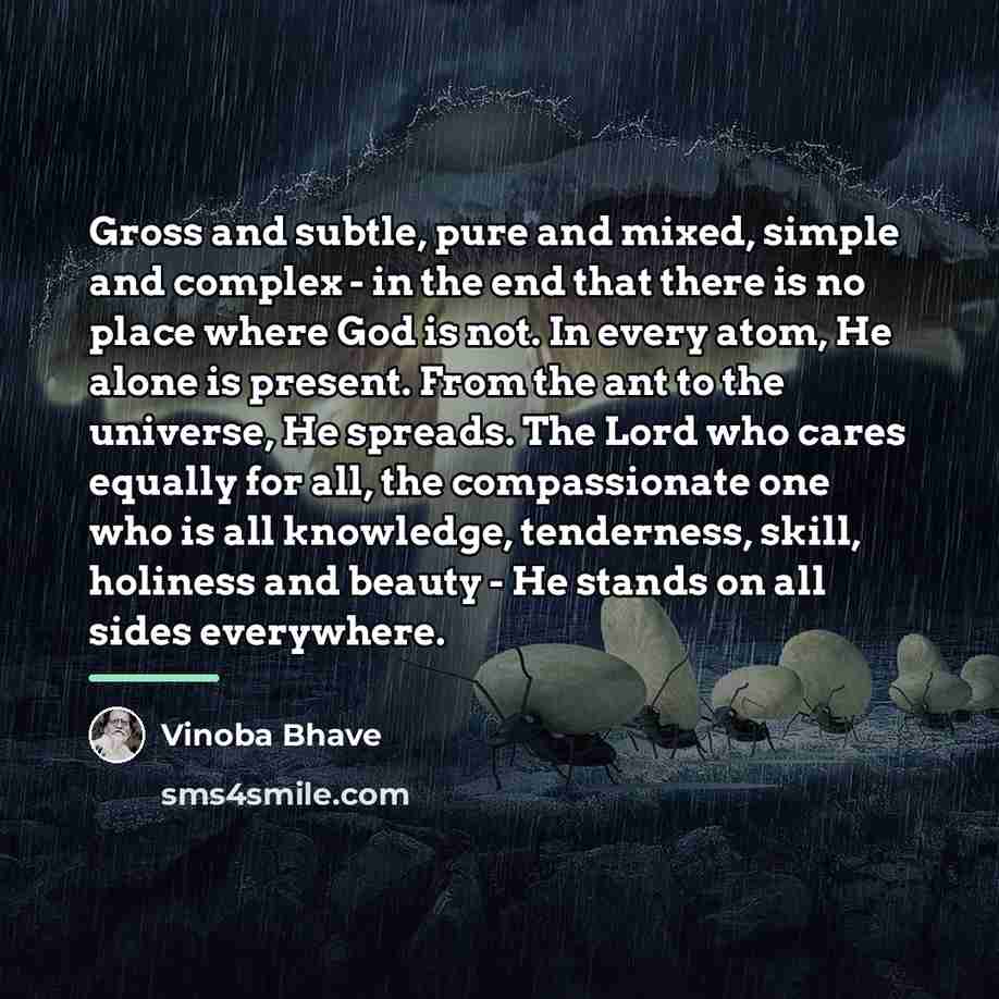 “Gross and subtle, pure and mixed, simple and complex -…” quote by Vinoba Bhave