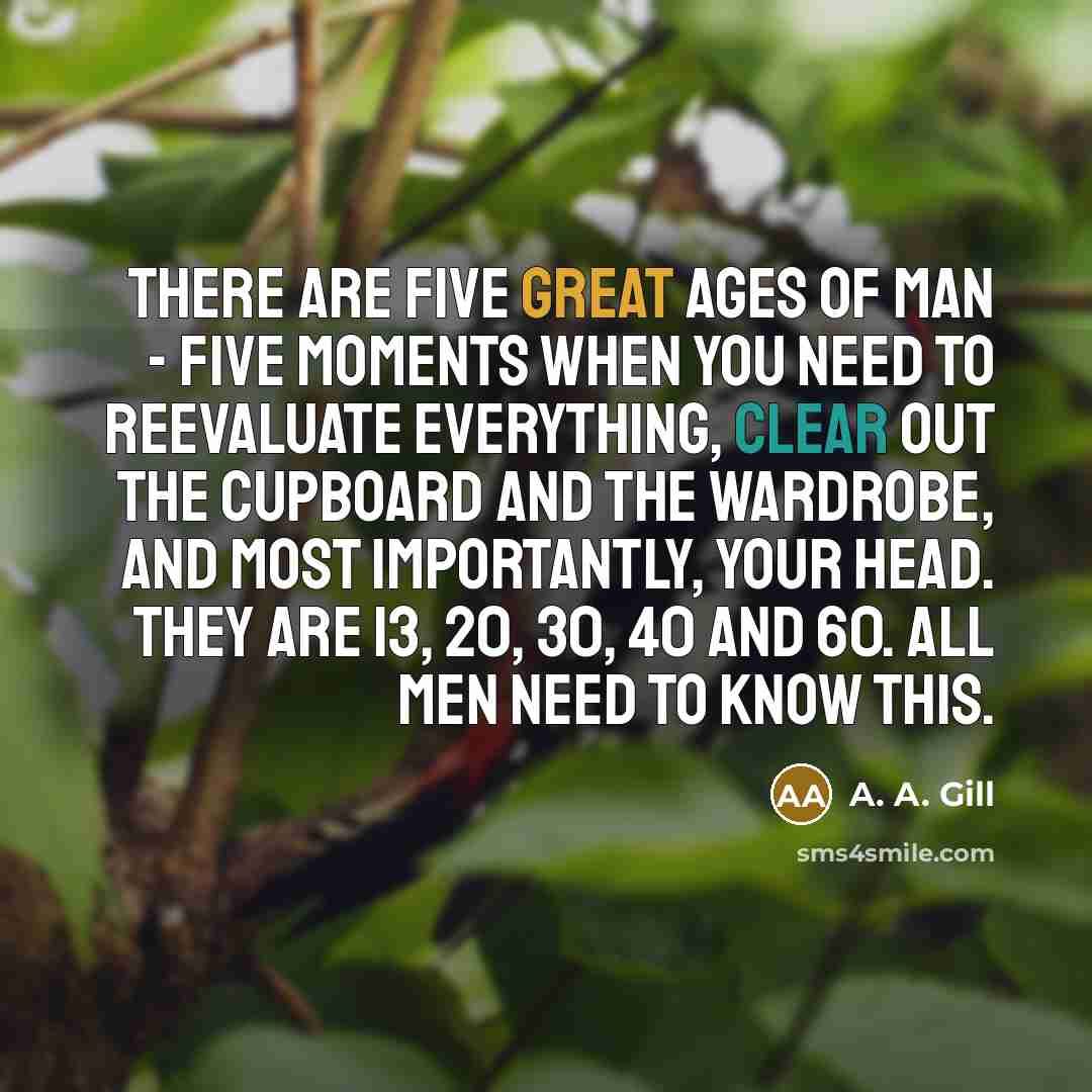 “There are five great ages of man - five moments when you need to reevaluate everything, clear out the cupboard and the wardrobe, and most importantly, your head. They are 13, 20, 30, 40 and 60. All men need to know this.” quote by A. A. Gill