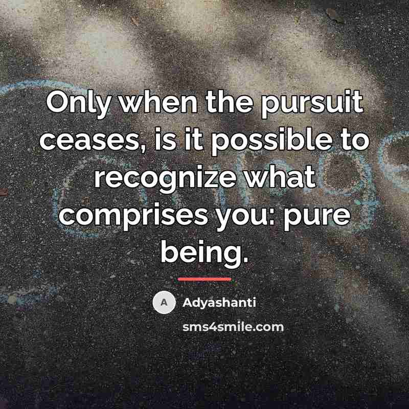 “Only when the pursuit ceases, is it possible to recognize…” quote by Adyashanti