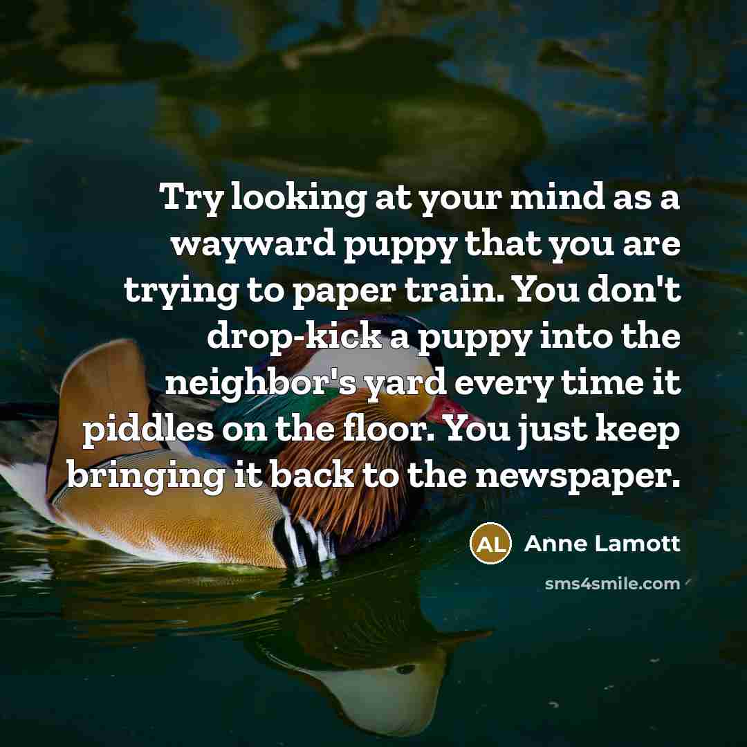 “Try looking at your mind as a wayward puppy that you are trying to paper train. You don't drop-kick a puppy into the neighbor's yard every time it piddles on the floor. You just keep bringing it back to the newspaper.” quote by Anne Lamott