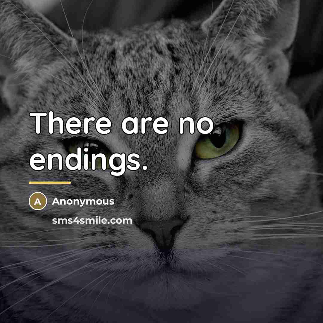 “There are no endings.…” quote by Anonymous