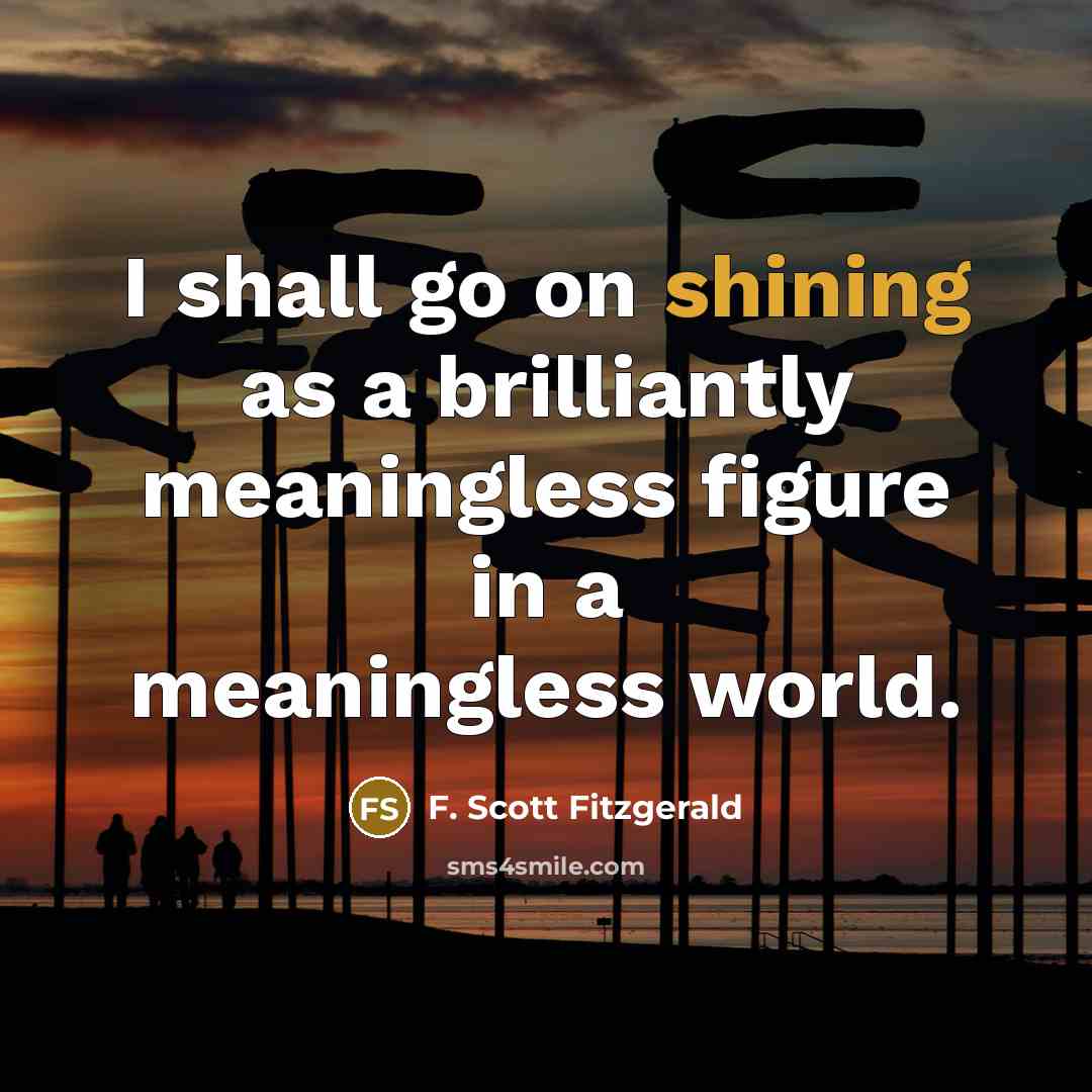“I shall go on shining as a brilliantly meaningless figure…” quote by F. Scott Fitzgerald